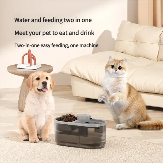 Smart Motion-Activated Pet Feeder & Water Fountain: All-in-One USB Rechargeable Dispenser