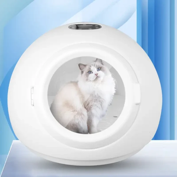 product_pic