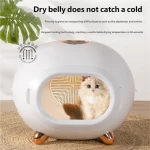 product_pic