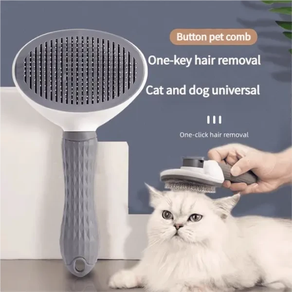 product_pic