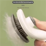 product_pic
