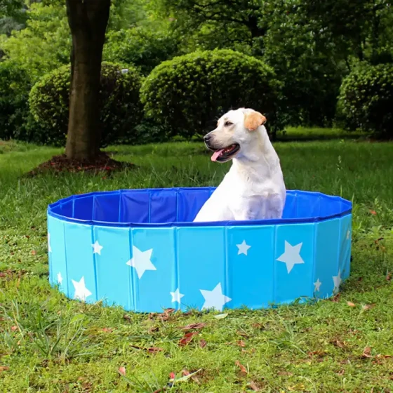 Foldable PVC Pet Pool: Portable Bathing & Wading Tub