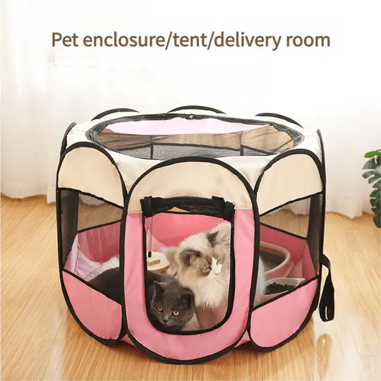 cat-delivery-room-827-938-2