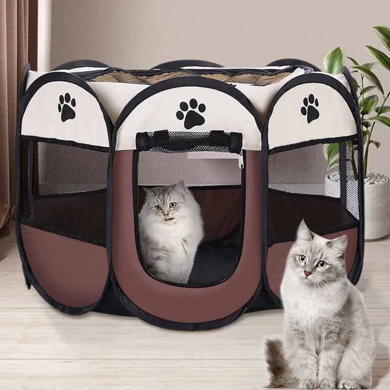 cat-delivery-room-827-938-3