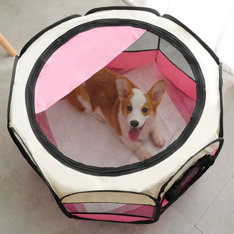 cat-delivery-room-827-938-4
