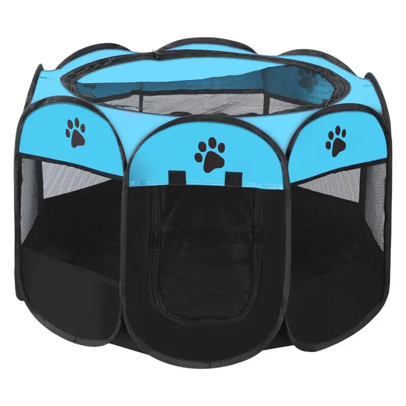 cat-delivery-room-blue-black-827-938-1