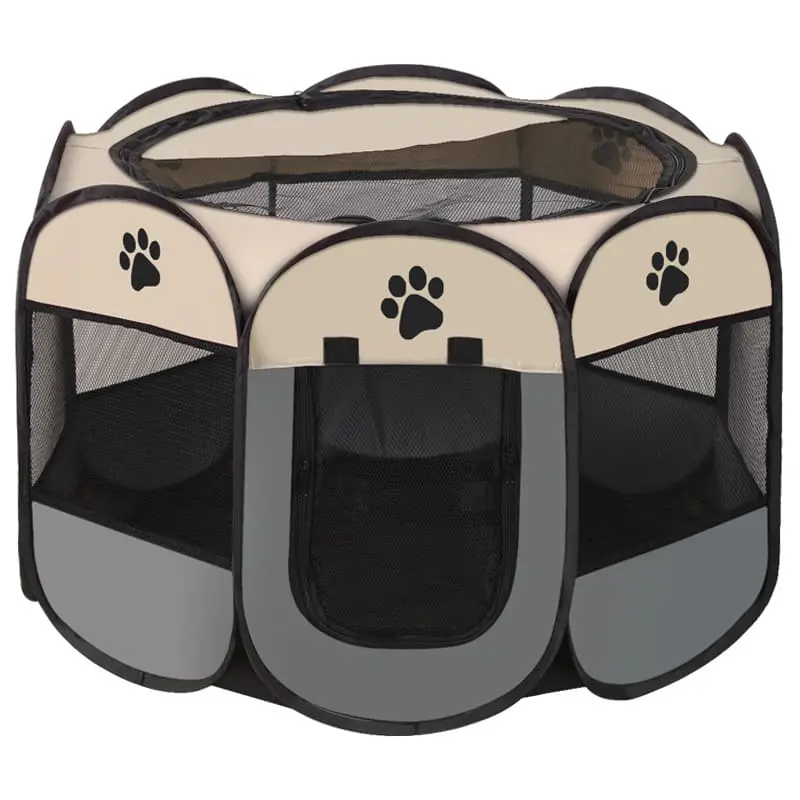 cat-delivery-room-grey-827-938-1