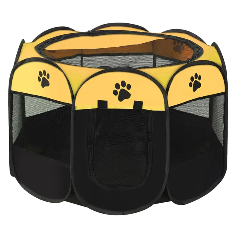 cat-delivery-room-yellow-827-938-1