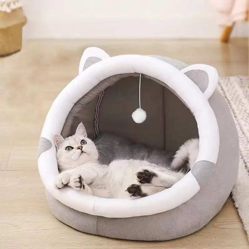 cat-nest-bear-826-955-1