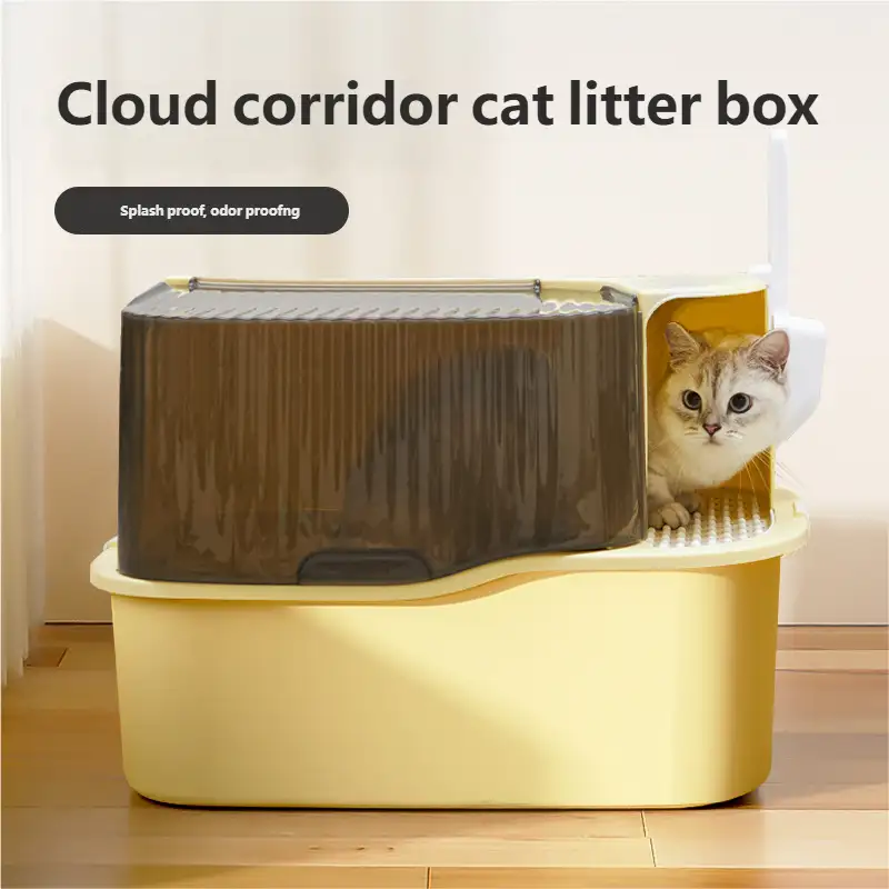 cat-little-box-1013-938-1