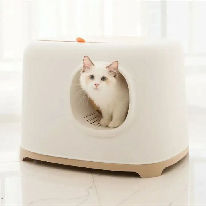 cat-little-box-blue-1013-1137-1
