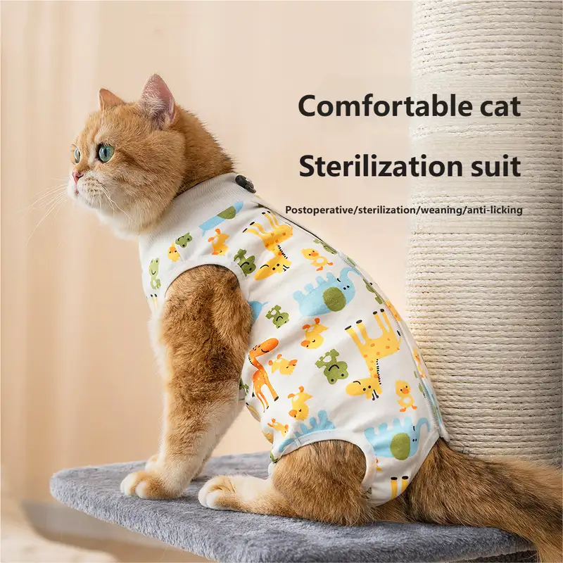 cat-sterilization-clothing-1011-1617-1