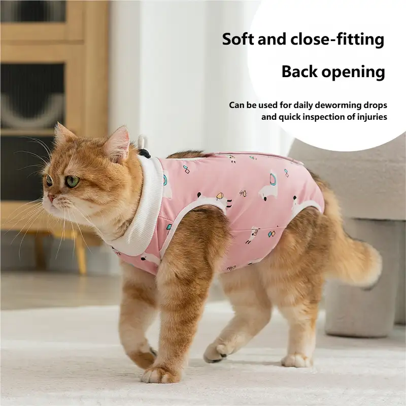 cat-sterilization-clothing-1011-1617-2