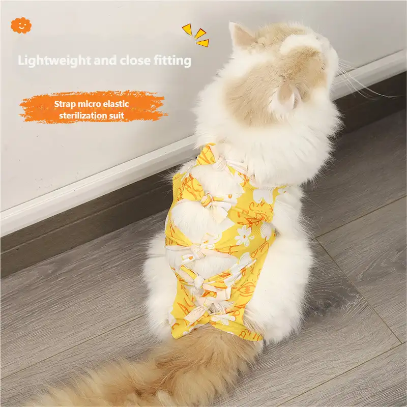 cat-sterilization-clothing-1011-1627-1