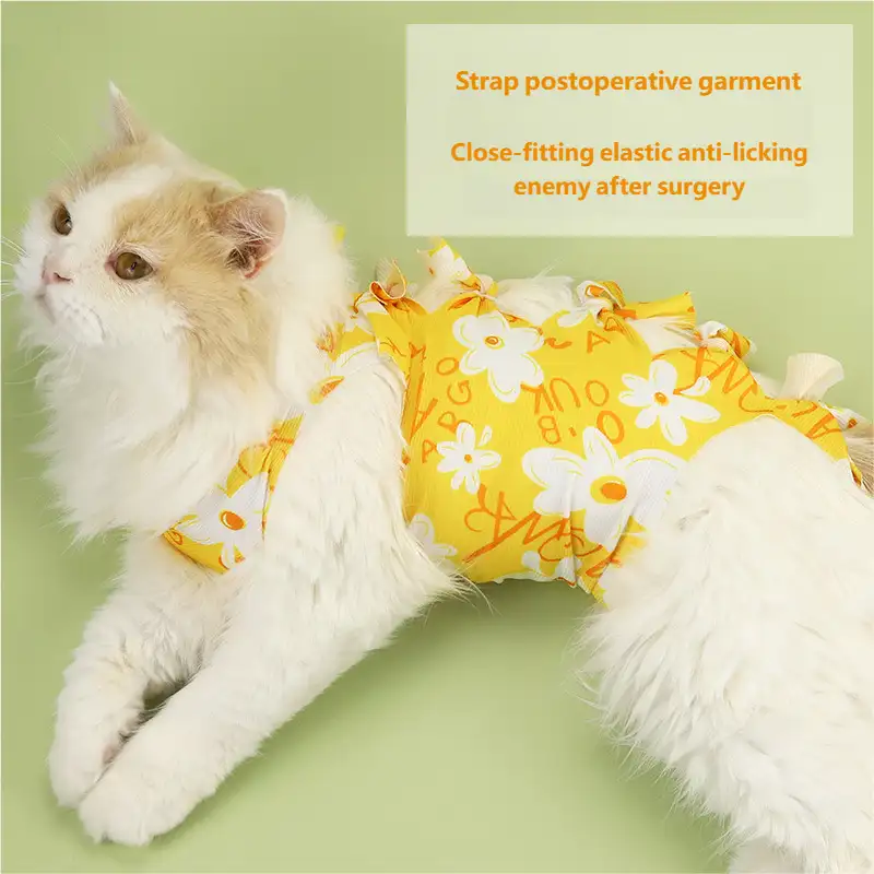 cat-sterilization-clothing-1011-1627-2