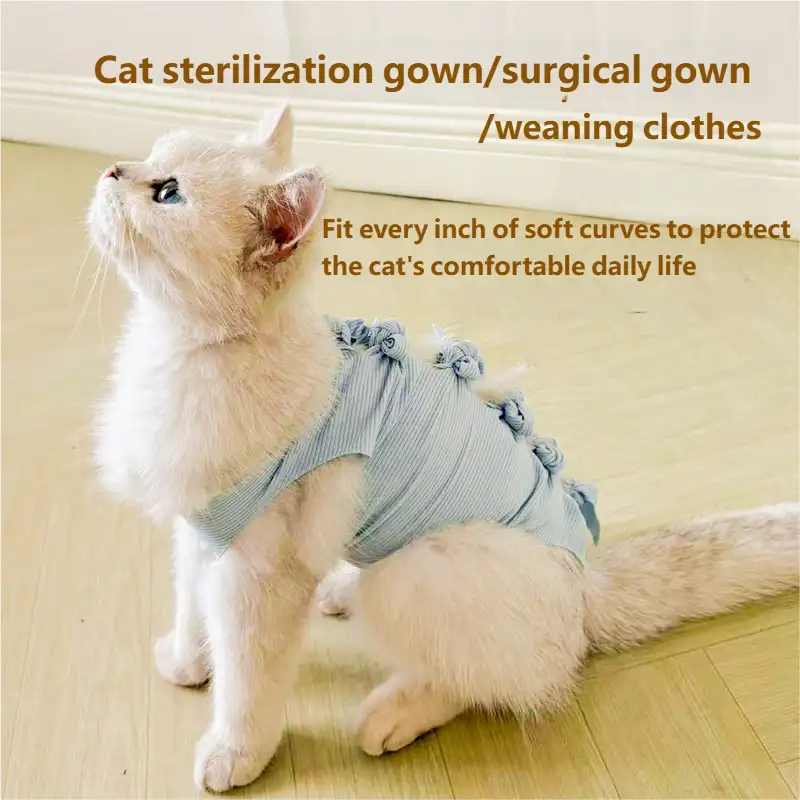 cat-sterilization-clothing-1011-1644-1
