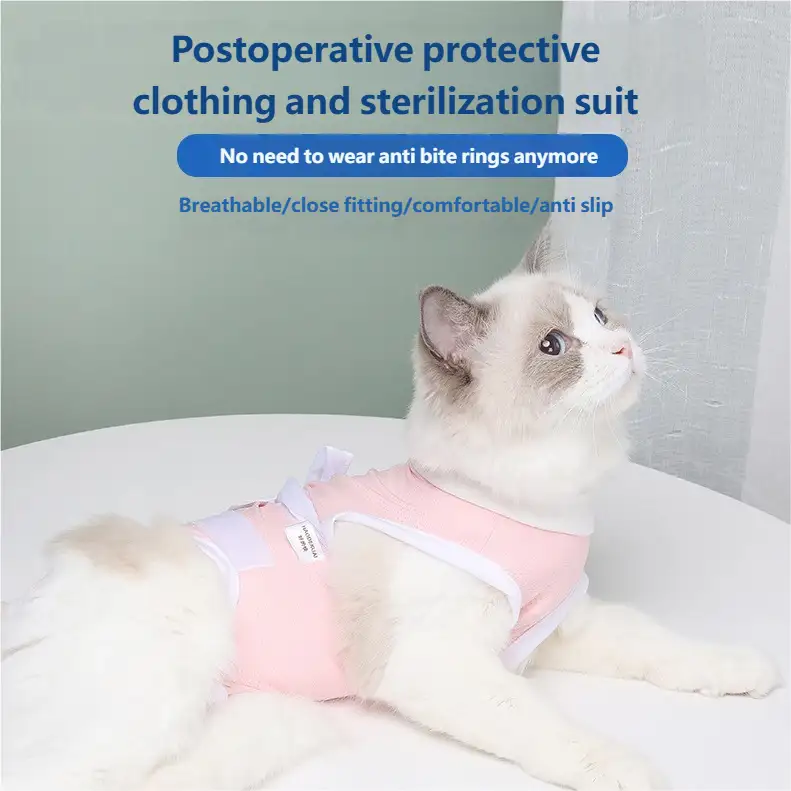 cat-sterilization-clothing-1011-1653-1
