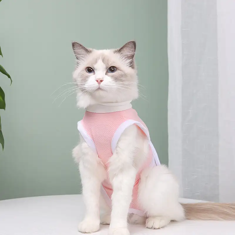cat-sterilization-clothing-1011-1653-3