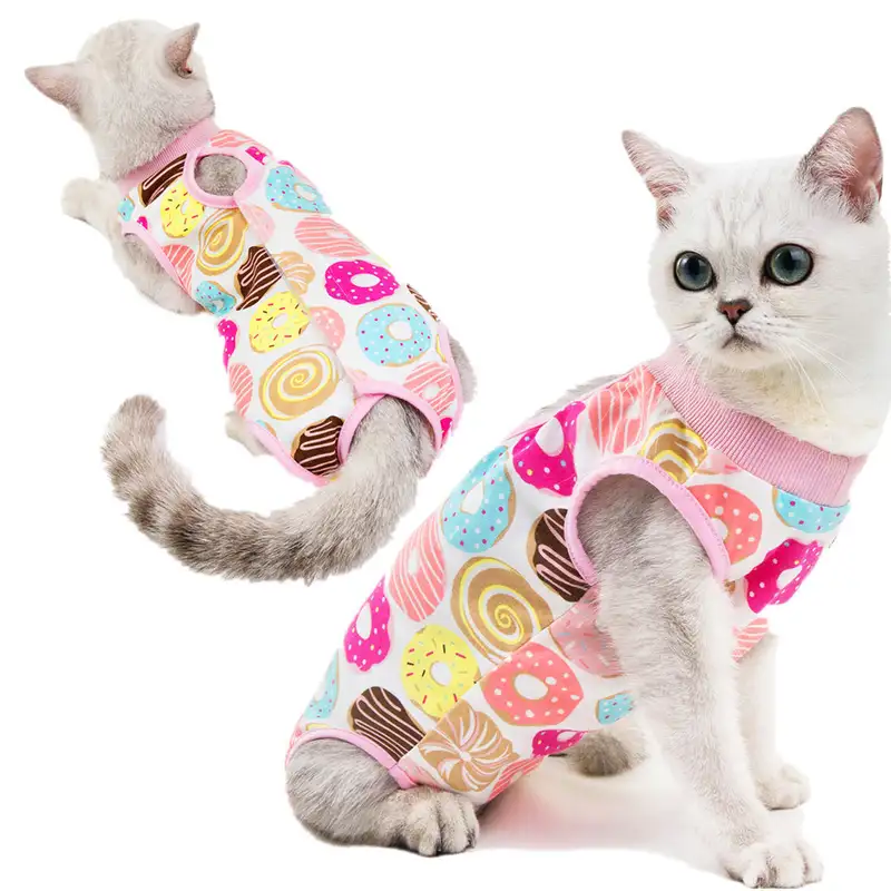 cat-sterilization-clothing-1012-920-1