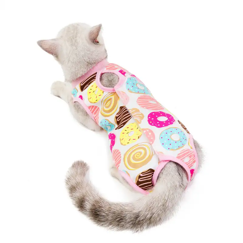 cat-sterilization-clothing-1012-920-2