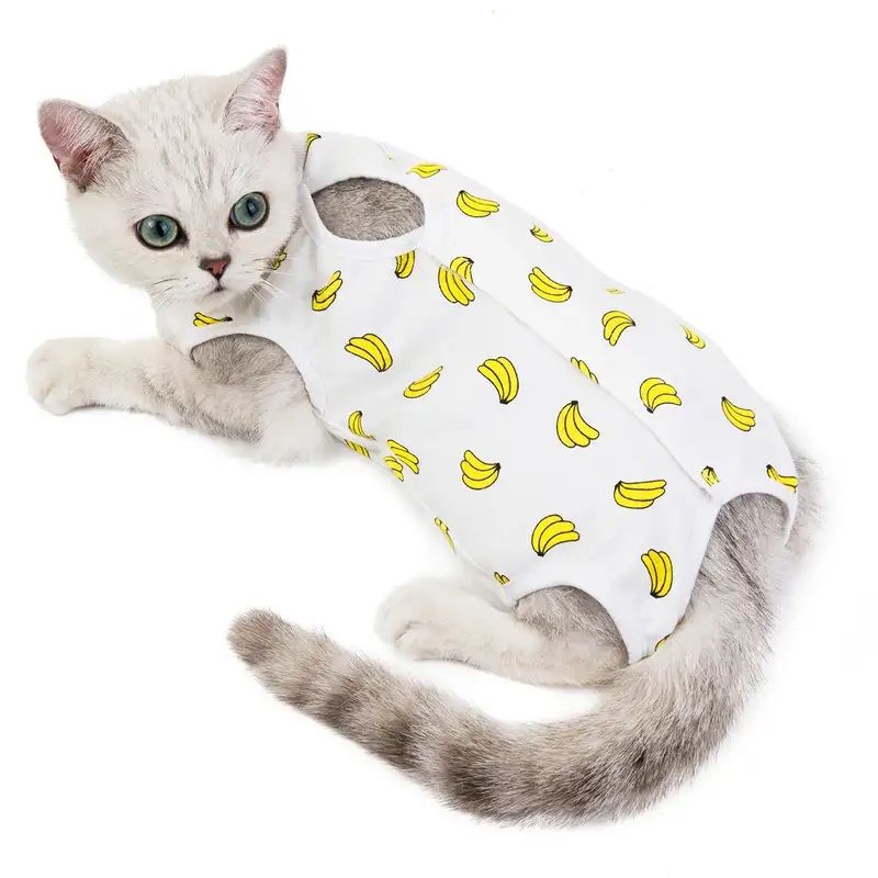 cat-sterilization-clothing-1012-920-3