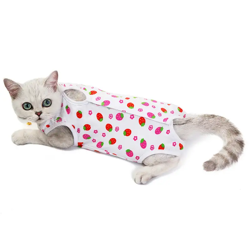 cat-sterilization-clothing-1012-920-4