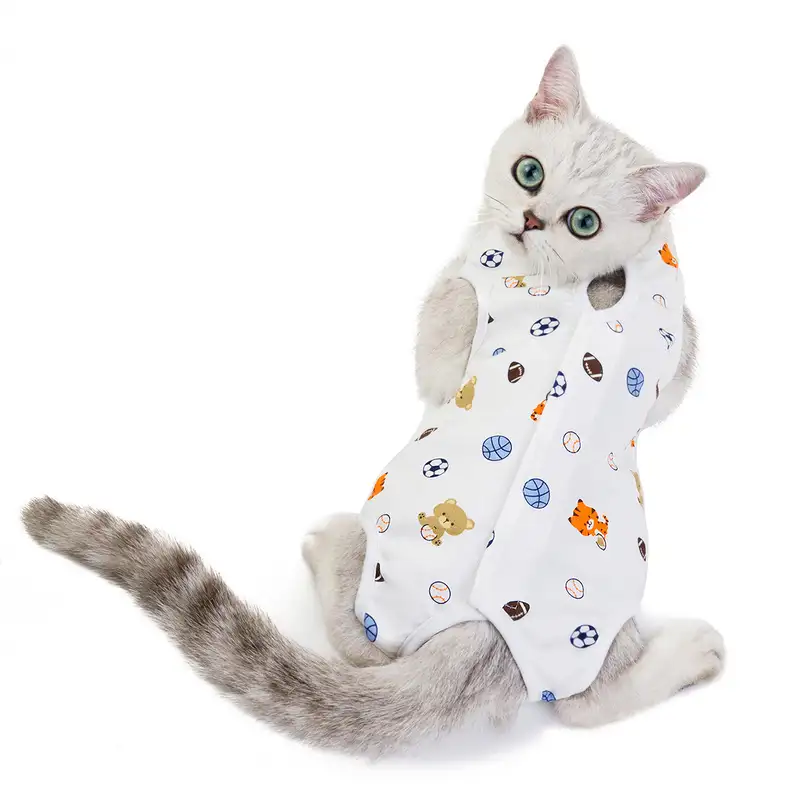 cat-sterilization-clothing-1012-920-5