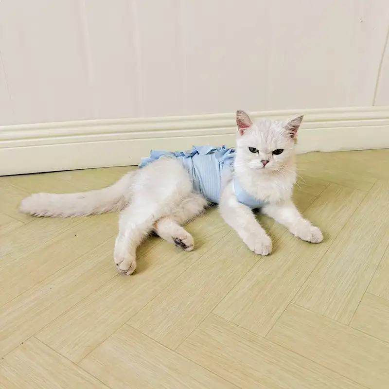 cat-sterilization-clothing-blue-1011-1644-1