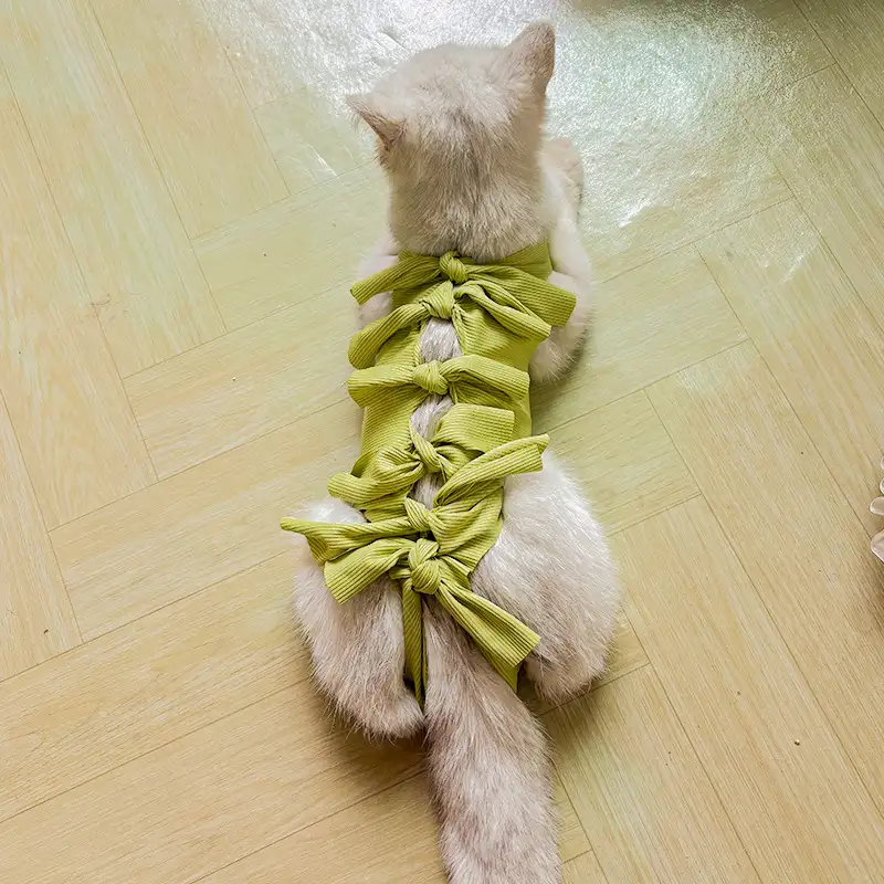 cat-sterilization-clothing-green-1011-1644-1
