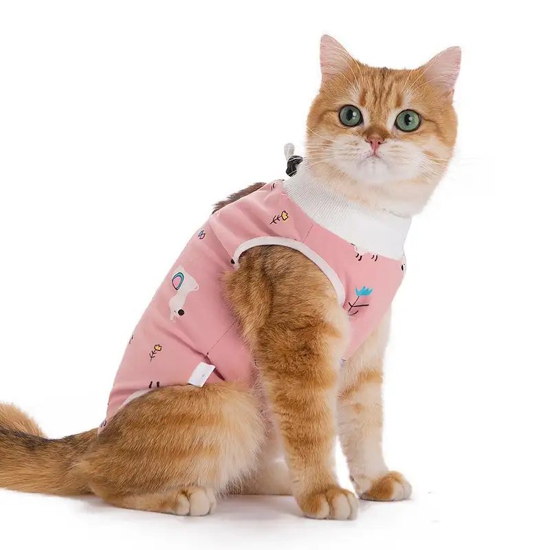 cat-sterilization-clothing-pink-1011-1617-1