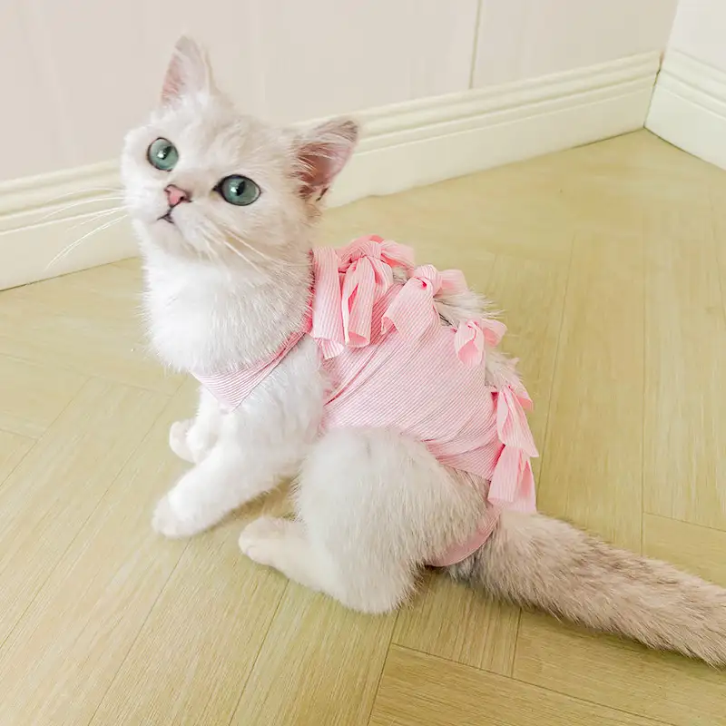 cat-sterilization-clothing-pink-1011-1644-1