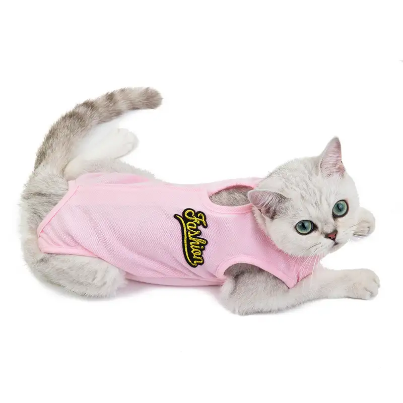 cat-sterilization-clothing-pink-1012-942-1