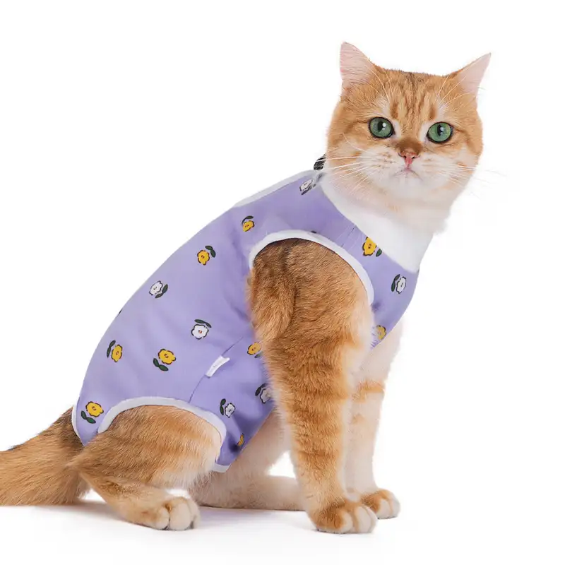 cat-sterilization-clothing-purple-1011-1617-1