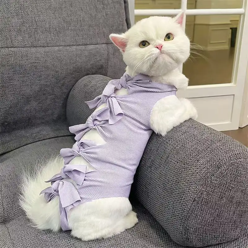 cat-sterilization-clothing-purple-1012-949-1