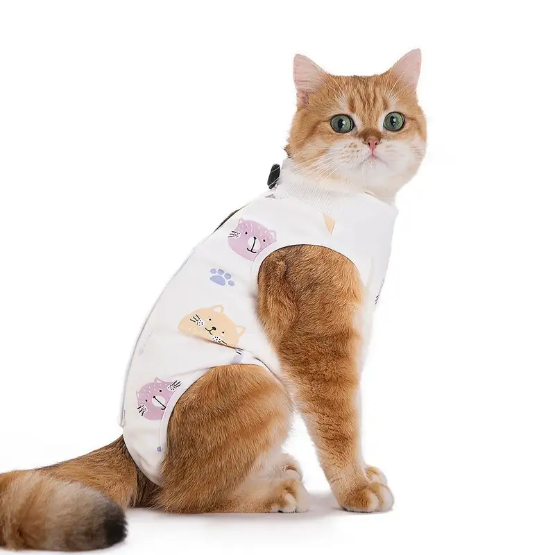 cat-sterilization-clothing-white-1011-1617-1