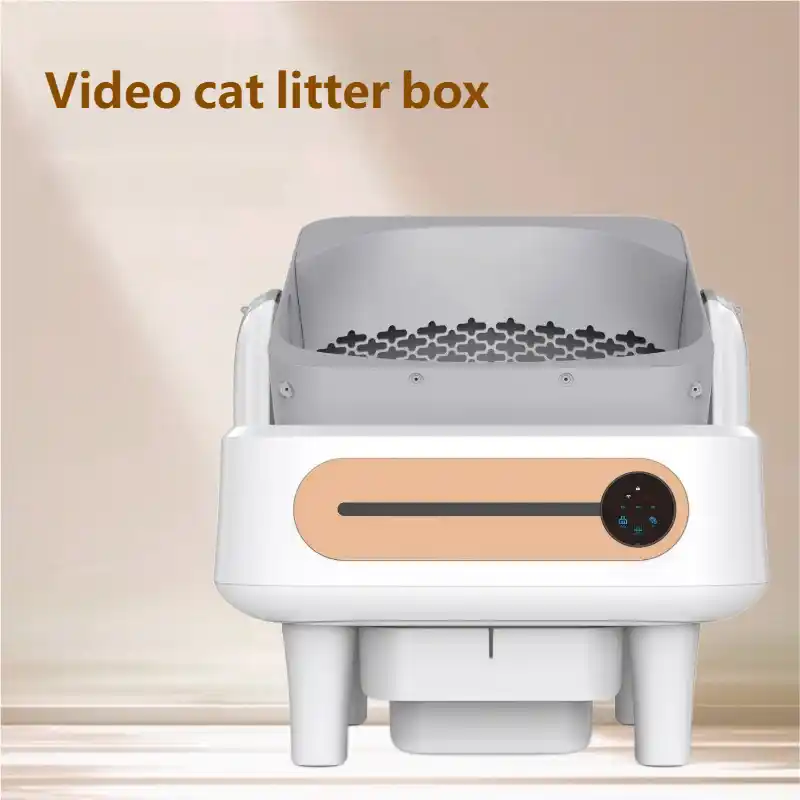 smart-cat-little-box-1003-1735-2