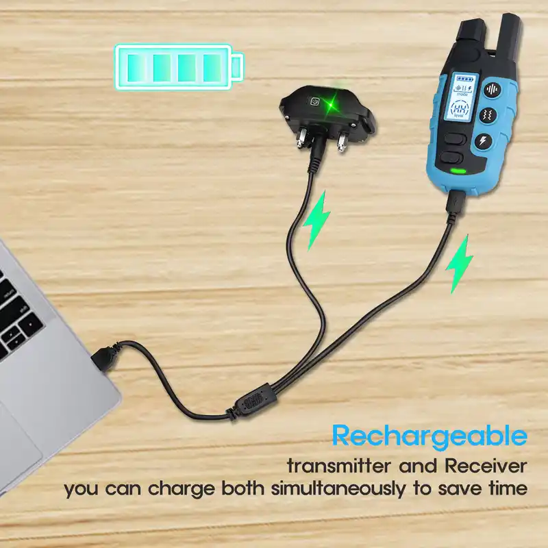 smart-pet-1009-1524-3