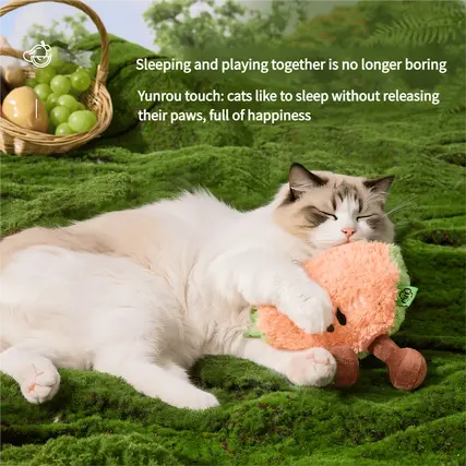 Cat-Toy-Fruit-902-1015-2