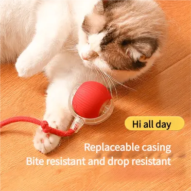 Electric-cat-ball-827-1102-2