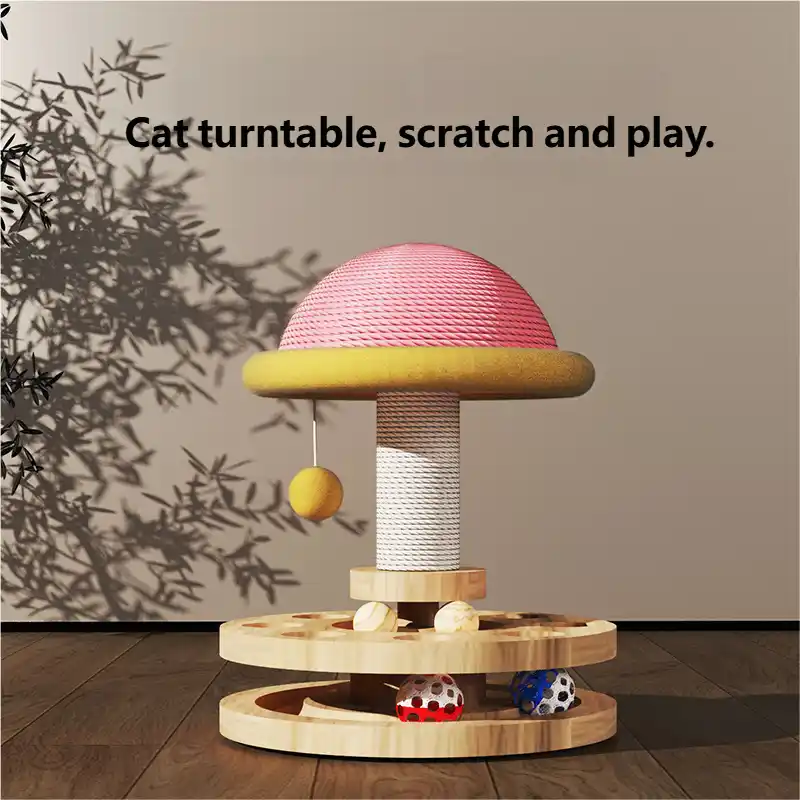 cat-toy-927-906-3