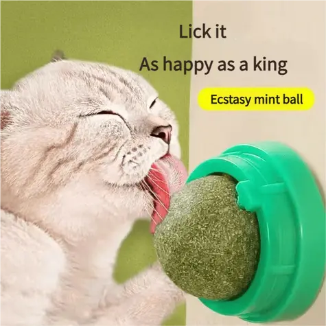 catnip-balls-827-1041-2