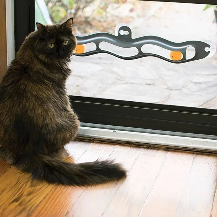 wall-cat-track-904-1021-2