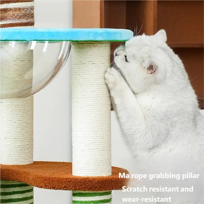 cat-tree-1015-1705-2