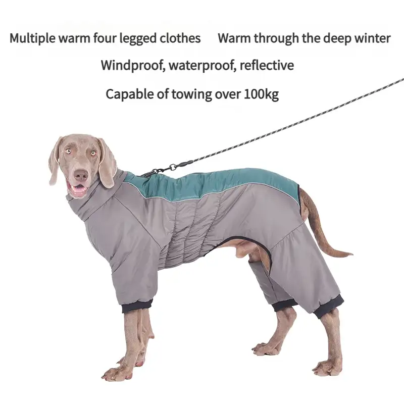 dog-cloth-914-1155-2