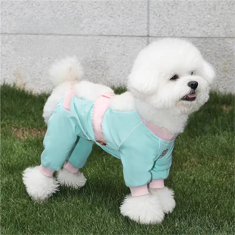 dog-cloth-blue-914-1220-1