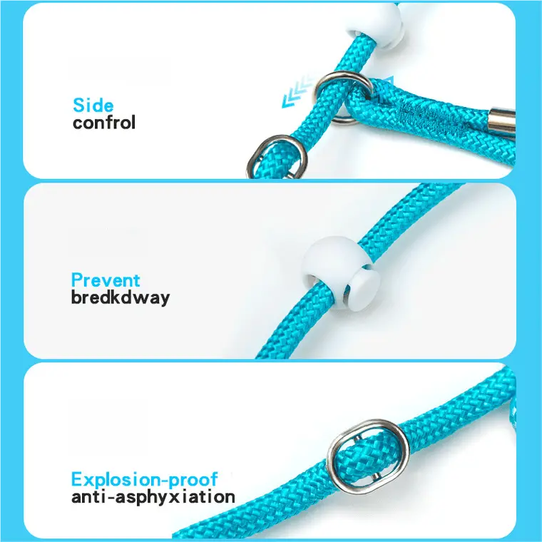 dog-leash-830-904-1