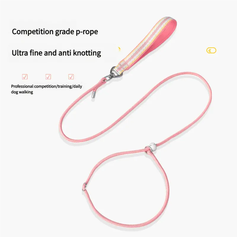 dog-leash-830-904-2