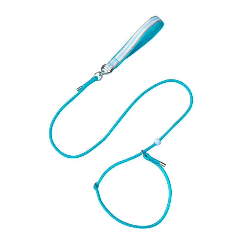 dog-leash-blue-830-904-1