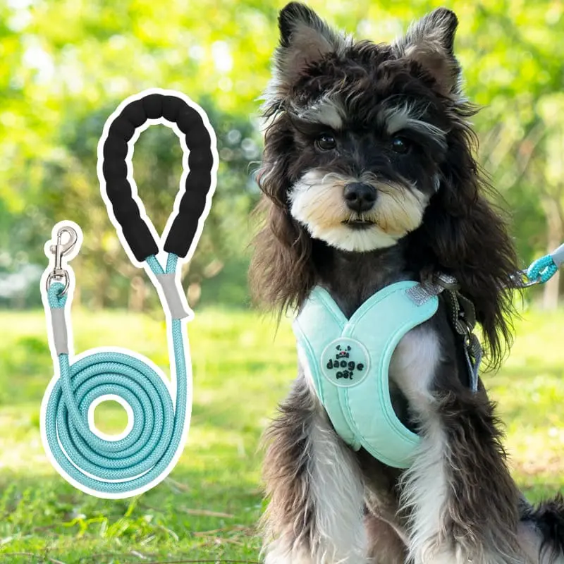 dog-leash-green-830-851-1