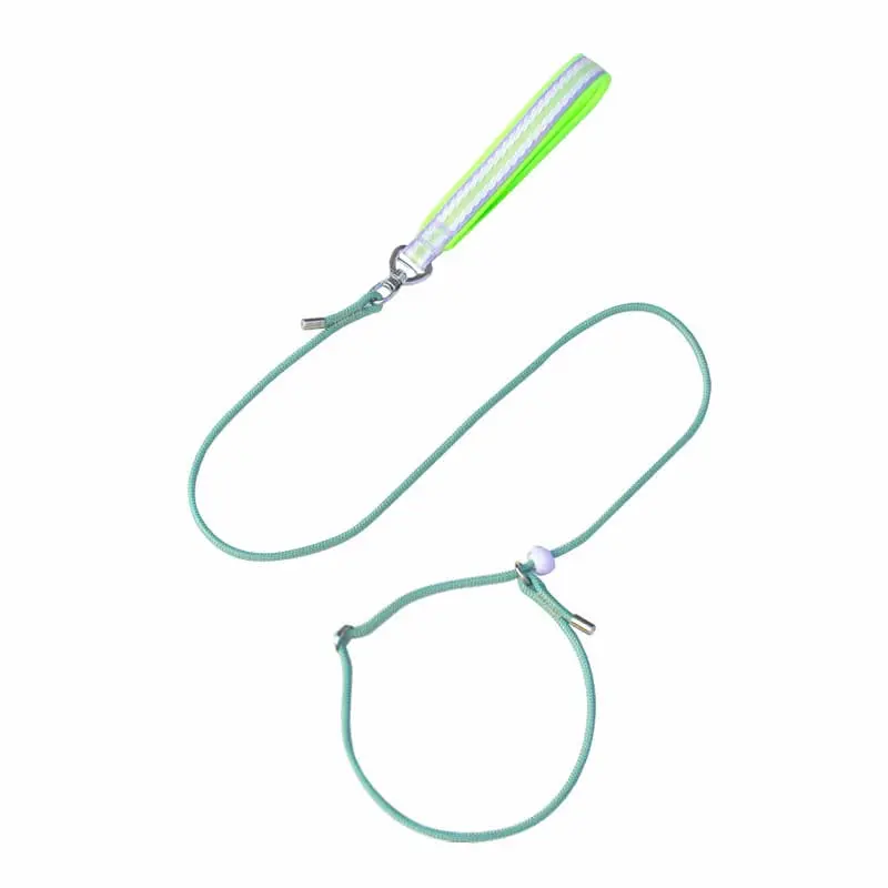 dog-leash-green-830-904-1